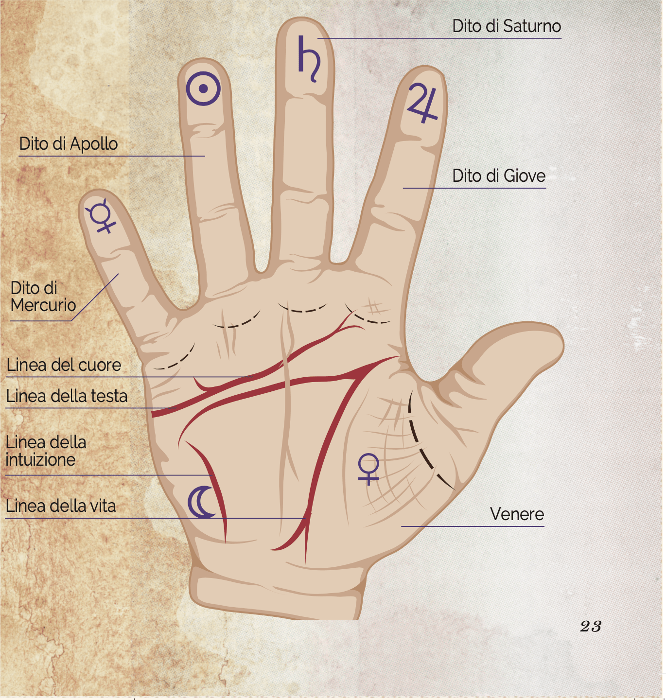 chiromanzia la forma delle dita